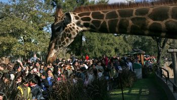 el zoologico porteno sera reconvertido en un ecoparque el zoologico porteno sera reconvertido en un ecoparque