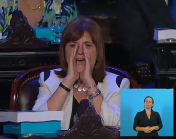 Patricia Bullrich reveló qué le gritó a la Presidenta