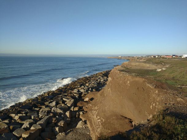 Tiene 4 años y encontró restos paleontológicos mientras caminaba