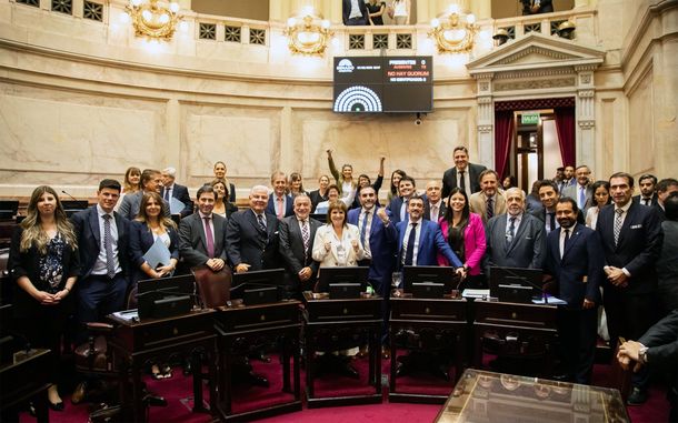 El festejo de los senadores libertarios y sus aliados.