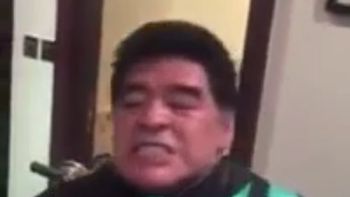 con cara de furia y cumbia de fondo, maradona entrena boxeo con cara de furia y cumbia de fondo, maradona entrena boxeo