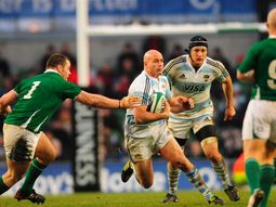 Felipe contepomi los pumas