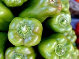Morron_verde