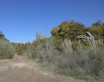 La cascada escondida en la provincia de Buenos Aires y a pocas horas de la Ciudad