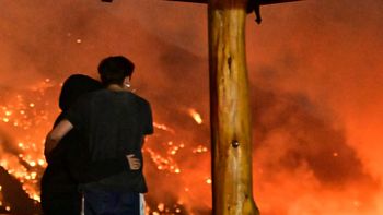 ignacio torres pidio incorporar la figura de ecocidio al codigo penal tras los incendios ignacio torres pidio incorporar la figura de ecocidio al codigo penal tras los incendios