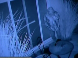 como fue el robo a la casa de sergio massa en tigre como fue el robo a la casa de sergio massa en tigre