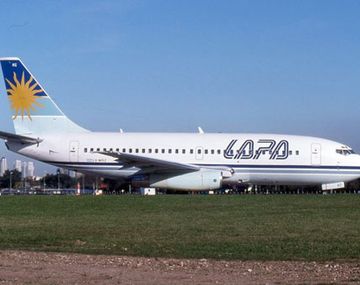 Avion lapa