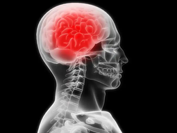 Día Mundial del Cerebro: Todo lo que tenés que saber