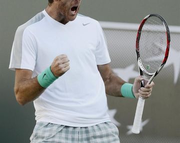 Del Potro le ganó al N°1 y es finalista en Indian Wells