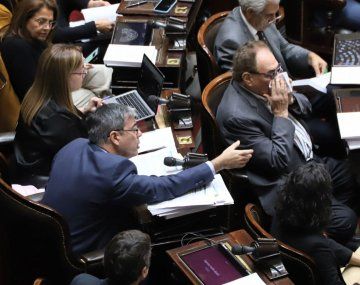 Ley Ómnibus: qué artículos pide la oposición votar en forma nominal y por qué