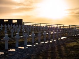 Cementerio de Darwin