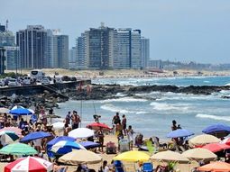 Gentileza diario El Observador. Gentileza diario El Observador.