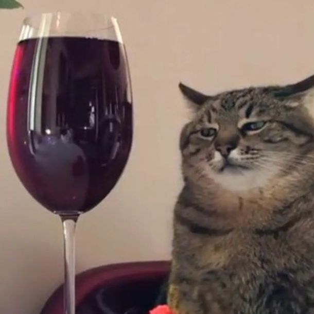 La peor cita de tu vida, el viral de Twitter lleno de anécdotas