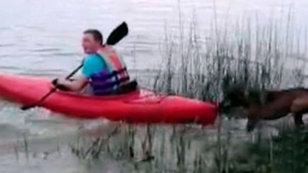 Mirá cómo un perro obstinado no quiere que su dueño salga a remar en kayak