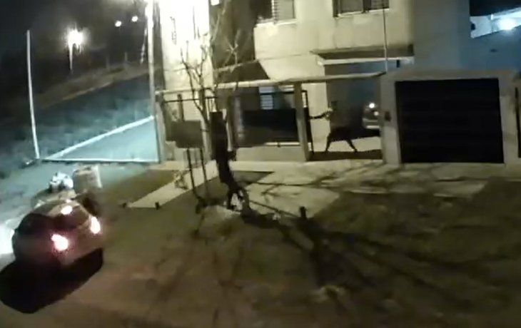 Brutal entradera en La Plata: les gatillaron a nenes que iban al colegio