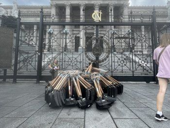 Palas en el Congreso, una novedad de un flamante empresario pesquero