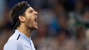 El desahogo de Del Potro El desahogo de Del Potro