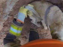 emotivo rescate de un perro que habia quedado atrapado en un precipicio emotivo rescate de un perro que habia quedado atrapado en un precipicio