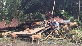 Anciano se negó a dejar sus perros por el huracán Otto Anciano se negó a dejar sus perros por el huracán Otto
