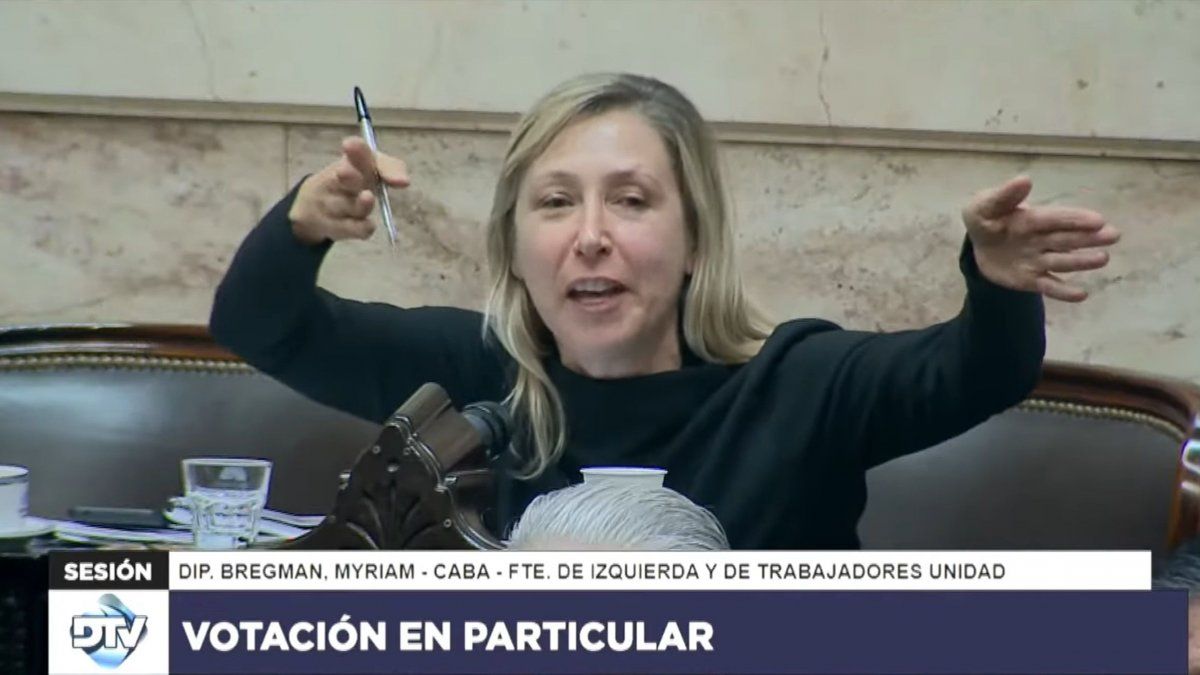 Ley Bases: el tenso cruce entre Myriam Bregman y Martín Menem en plena ...