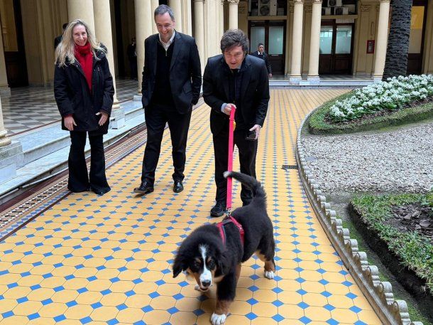 Javier Milei habló con el perro Thor en medio de su discurso en el Foro Económico Mundial