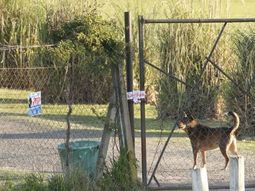 dramatico: le cayo un arco de futbol en la cabeza y lucha por su vida dramatico: le cayo un arco de futbol en la cabeza y lucha por su vida