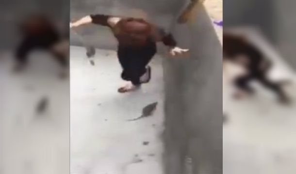 Thuy Say se enfrentó a la rata con un palo