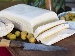 anmat y senasa advierten por la presencia de una peligrosa bacteria en un queso de primera marca: de cual se trata anmat y senasa advierten por la presencia de una peligrosa bacteria en un queso de primera marca: de cual se trata