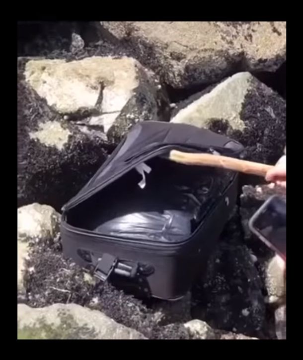 Paseaban por la playa y encontraron una valija con un restos humanos