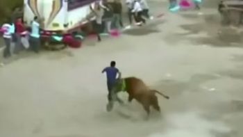 video: un toro hirio a seis personas durante un encierro video: un toro hirio a seis personas durante un encierro