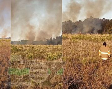 Alerta en La Plata por un feroz incendio