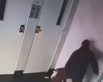 Un hombre golpeó a un perro en el hall de un edificio