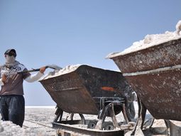 Trabajador salinas Trabajador salinas