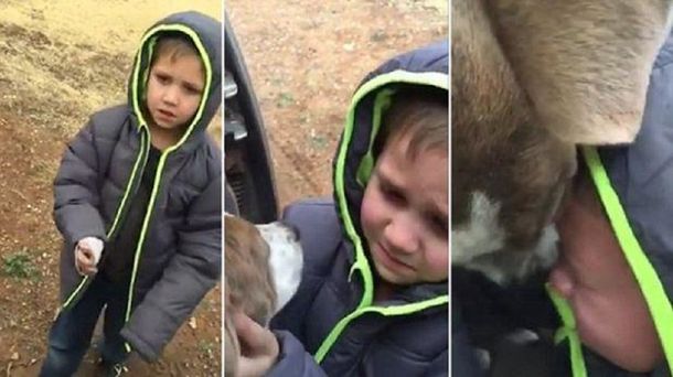VIDEO: Un nene se reencuentra con su perro y emociona a todos