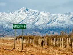 Los Chacayes es perfecto para probar vinos y realizar diferentes actividades en pleno contacto con la naturaleza. Los Chacayes es perfecto para probar vinos y realizar diferentes actividades en pleno contacto con la naturaleza.