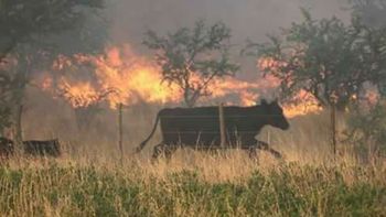 Así es el incendio en La Pampa Así es el incendio en La Pampa