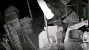 un delincuente intentó esconderse de las cámaras de seguridad con una pala y una escoba un delincuente intentó esconderse de las cámaras de seguridad con una pala y una escoba