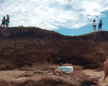 Hallaron un antiguo caparazón de gliptodonte en una playa de Mar Chiquita