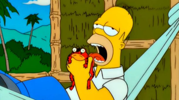 Descubren una droga hecha con hongos, plantas y veneno de sapo