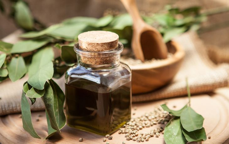 el negocio detrás del cannabis medicinal