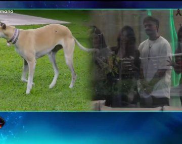 La emotiva reacción de los participantes de Gran Hermano a la llegada de Paris