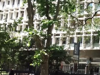 Planificación financiará la construcción del instituto universitario de la Federal