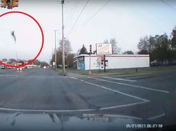 Un ganso recibió el impacto de un rayo mortal Un ganso recibió el impacto de un rayo mortal