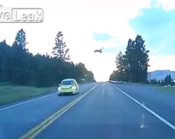 VIDEO: Auto atropella a ciervo en plena ruta