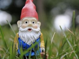 La ola de robos más insólita: las víctimas son los enanos de jardín