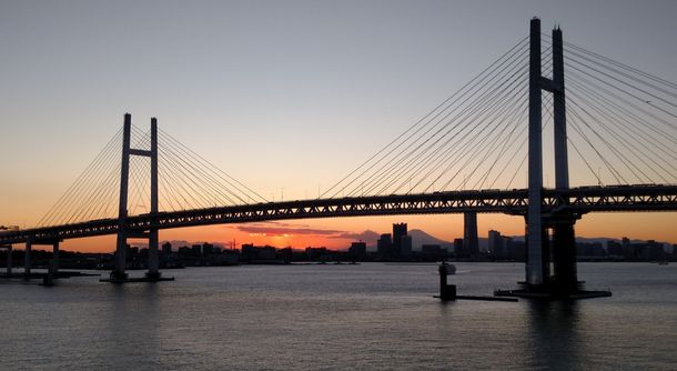 Coronavirus: un pasajero del crucero varado cuenta la cuarentena a través de Twitter