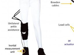 Un robot que ayuda a caminar