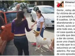 El descargo en Facebook de la mujer acusada de abandonar a su perra El descargo en Facebook de la mujer acusada de abandonar a su perra