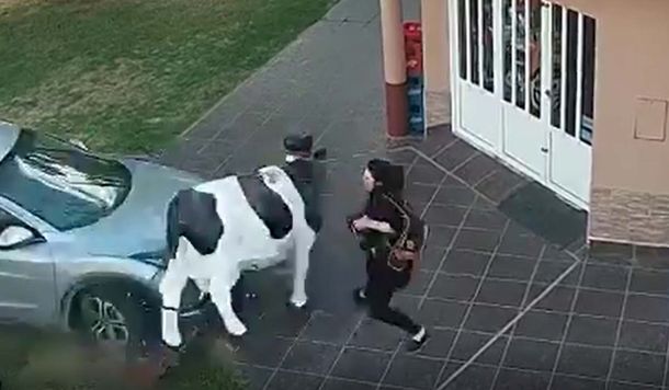 Milagro en Santa Fe: una mujer se salvó de ser atropellada gracias a su increíble reacción