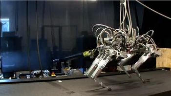 alta velocidad: un robot corre mas rapido que usain bolt alta velocidad: un robot corre mas rapido que usain bolt